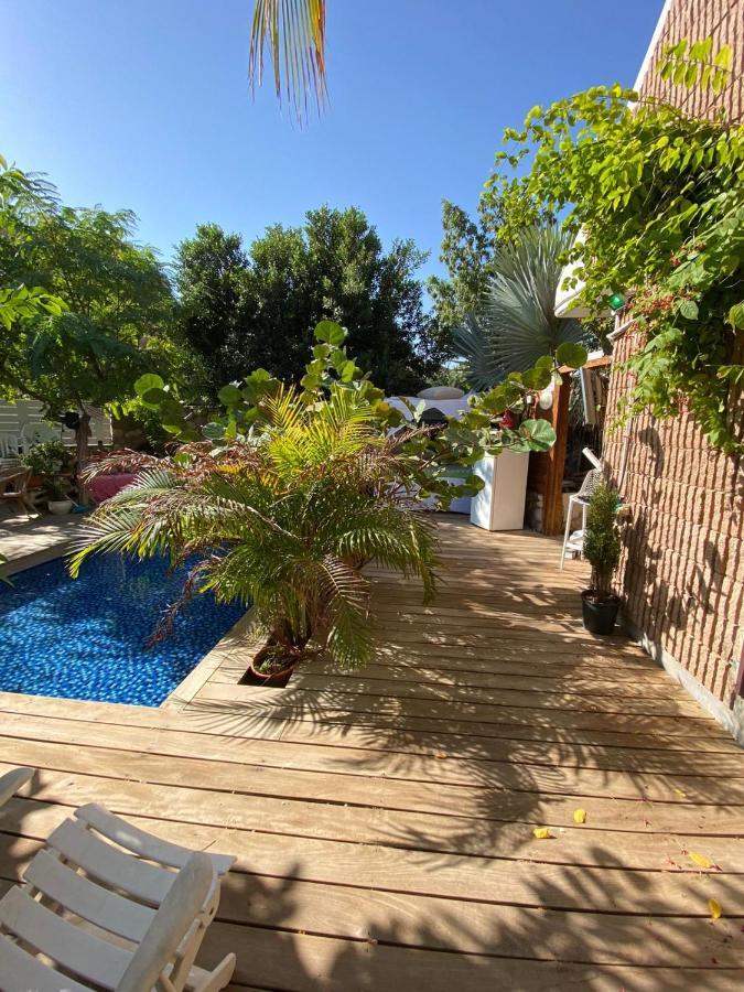 Palmas Appartement Eilat